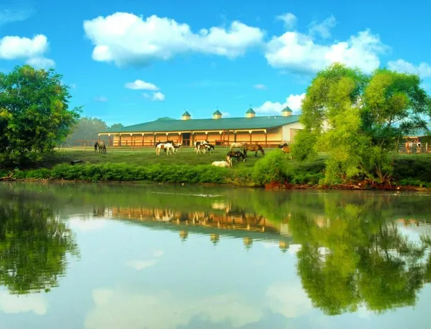 Southern Cross Guest Ranch hotel detail image 2