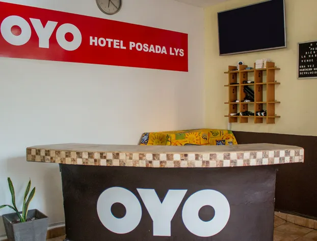 OYO Hotel Posada Lys, Zihuatanejo hotel detail image 3
