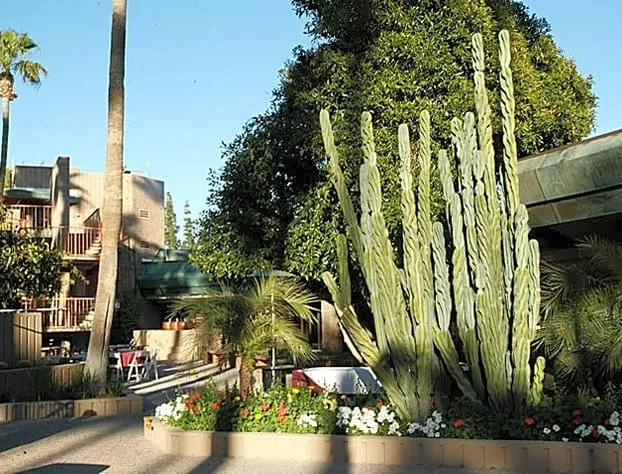 Fiesta Resort and Conference Center hotel detail image 1
