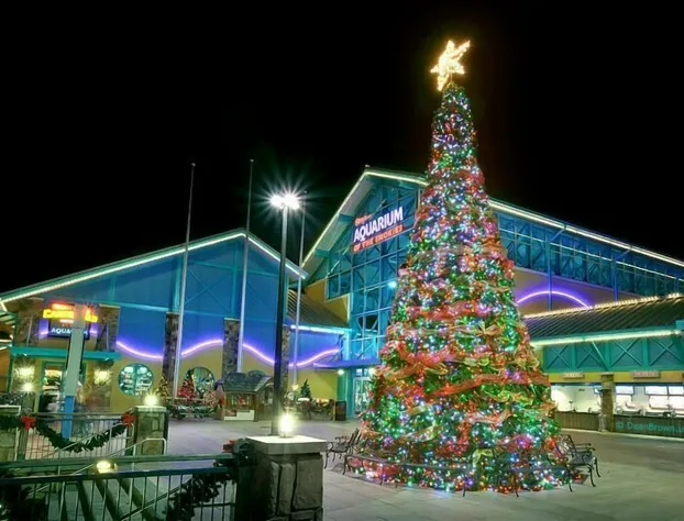 Uwoduhi Pool Lodge Apartment 6 hotel detail image 1