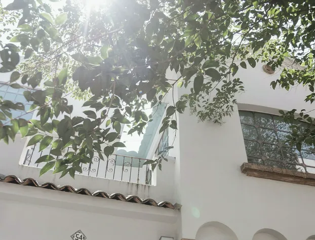 Casa Lomah Napoles WTC hotel detail image 3