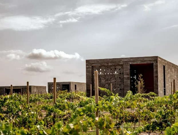 Hotel Tres Raices hotel detail image 4