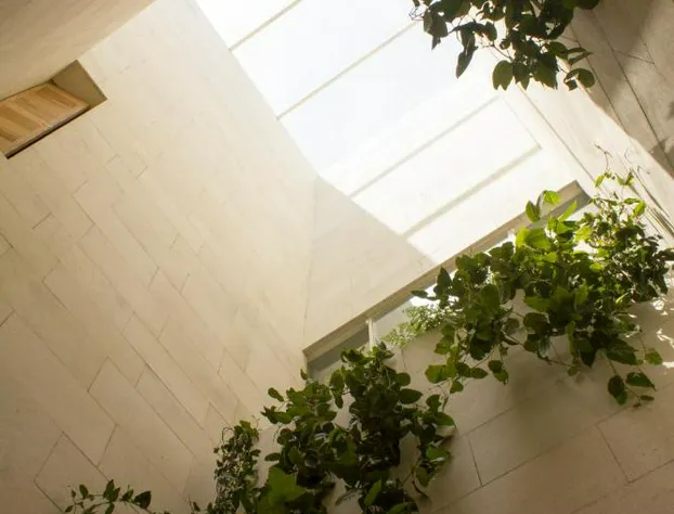 Circulo Mexicano, Mexico, a Member of Design Hotels hotel detail image 3