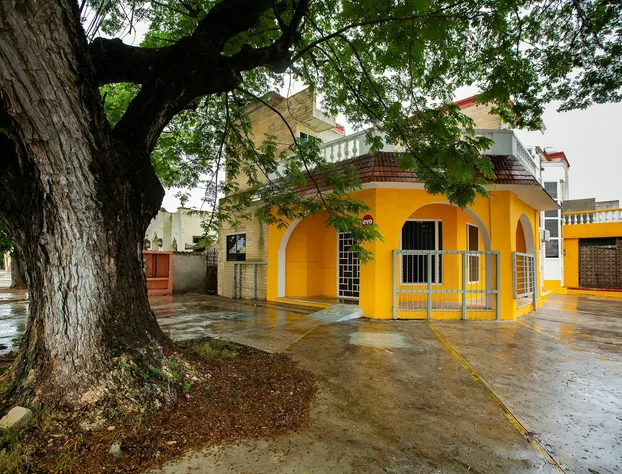 Hotel Cupules hotel detail image 1