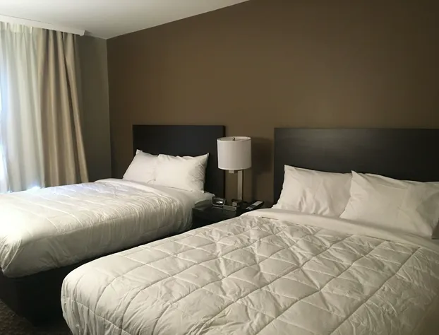 The Williams Hotel hotel detail image 2