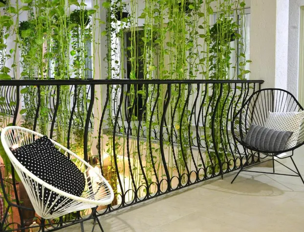 Unic Design Hotel - Near Mamitas Beach Club hotel detail image 2