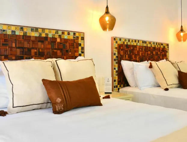 Unic Design Hotel - Near Mamitas Beach Club hotel detail image 1