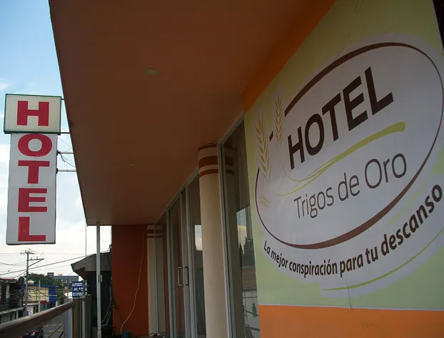 OYO Hotel Trigos De Oro,San Luis Teolocholco Park hotel detail image 4