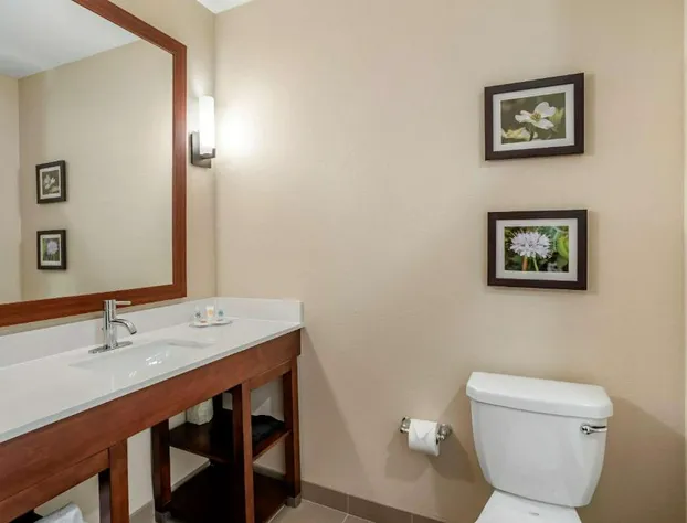 Comfort Inn & Suites Winchester hotel detail image 3