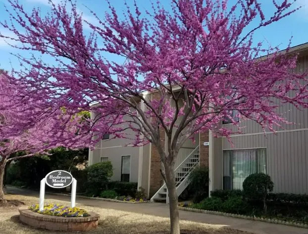 OU-2 Bedroom 1 bath next OU hotel detail image 3