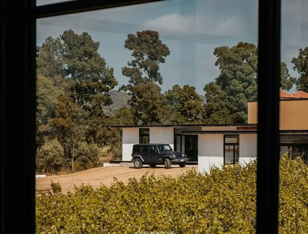 Quinta Nicolás Valle de Guadalupe hotel detail image 4