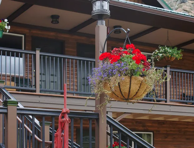 Bailey Lodge hotel detail image 2