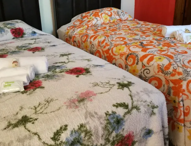 Hotel Posada De Santa Rosa hotel detail image 4