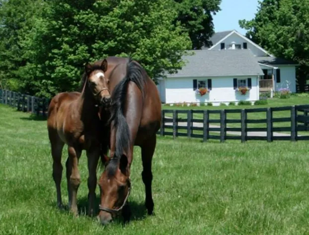 The Guesthouse at Rosecrest Farm hotel detail image 2