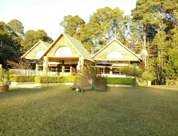 Siempre Verde Chiapas hotel detail image 2