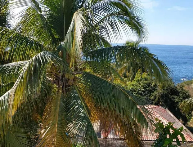 Hotel Las Palmas hotel detail image 1