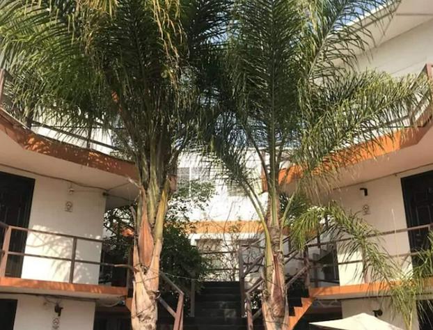 Hotel Palmas hotel detail image 1