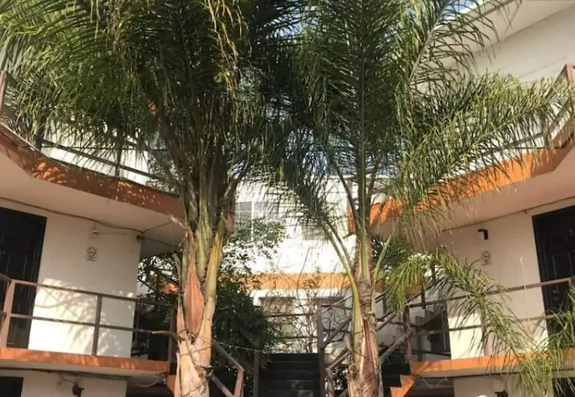 Hotel Palmas hotel hero