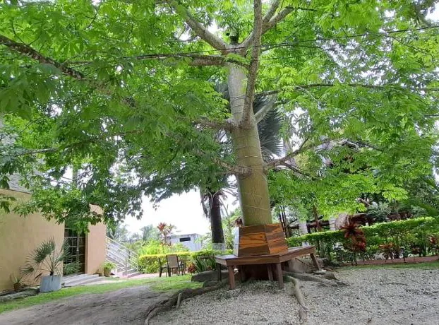 Posada Yaxche hotel detail image 4