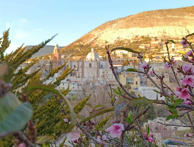 Hotel Brisa del Cielo hotel detail image 4