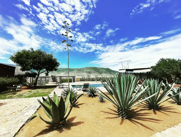 Casa Regina Oaxaca hotel detail image 2