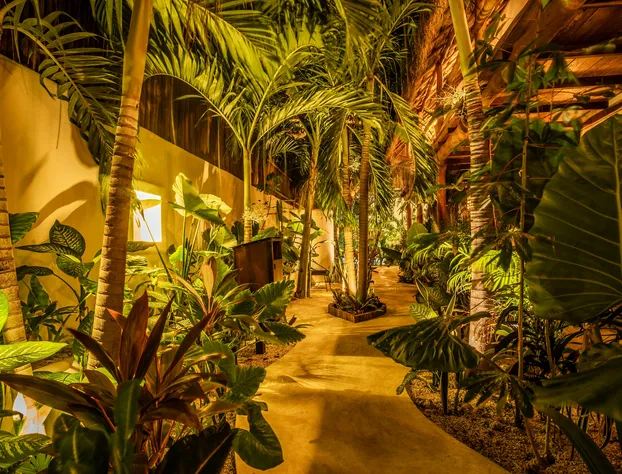 Hotel Boutique TerraNova hotel detail image 2