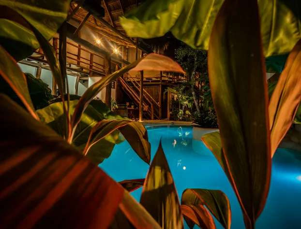 Hotel Boutique TerraNova hotel detail image 3