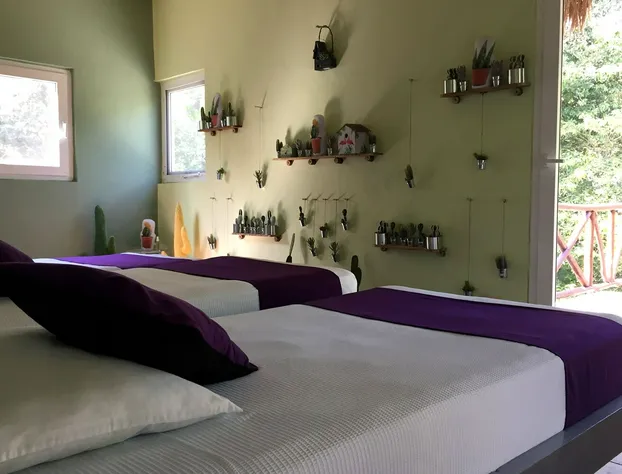 Raíces del Cielo Oasis Holístico hotel detail image 4