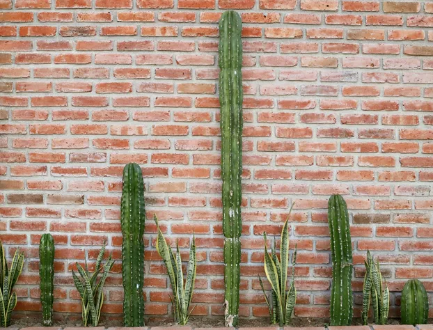 ONDA Surf Hotel hotel detail image 1