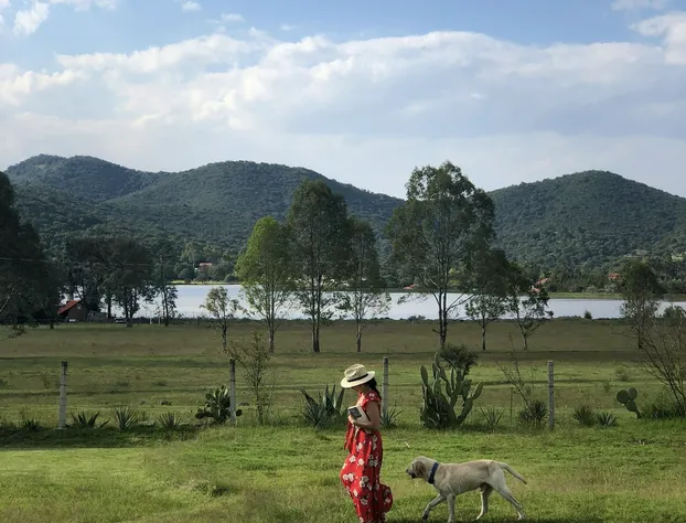 Hotel Boutique Calderon hotel detail image 2