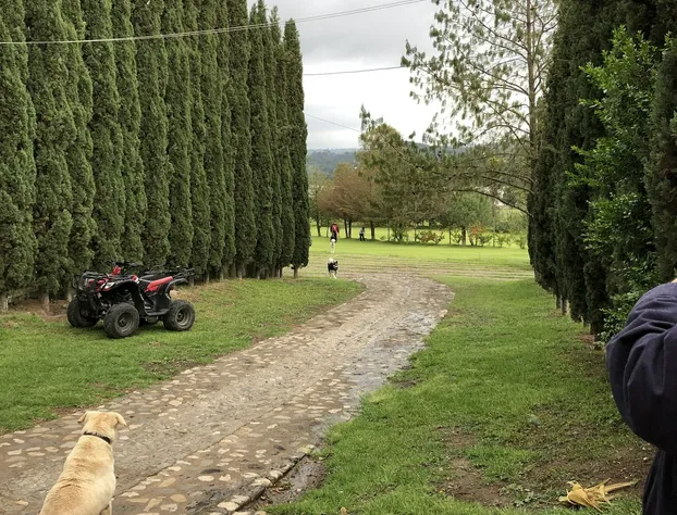 Hotel Boutique Calderon hotel detail image 3