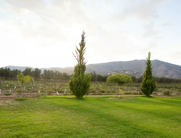 Sueños Resort Valle de Guadalupe hotel detail image 4