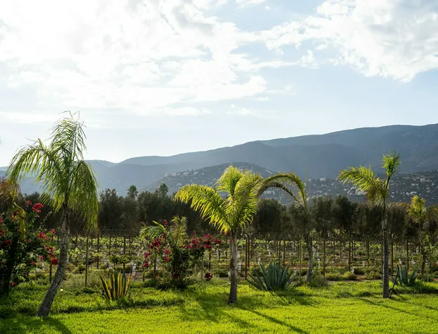 Sueños Resort Valle de Guadalupe hotel detail image 3