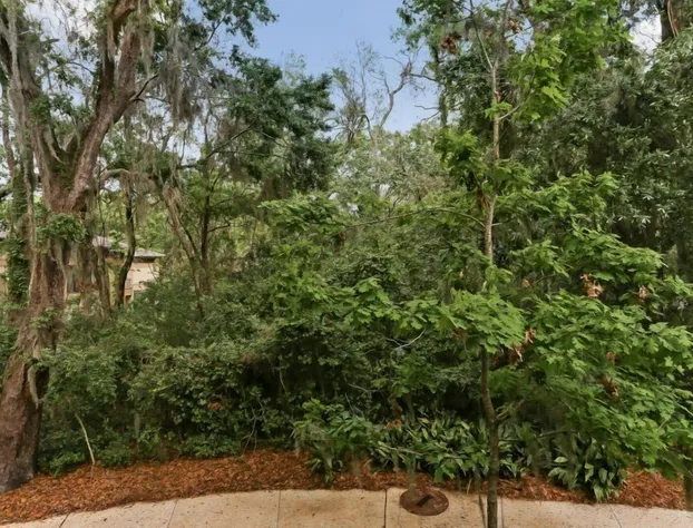 2515 Tennis Villa King Suite hotel detail image 4