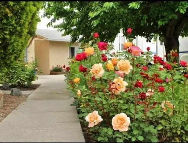 Maple Leaf Motel & RV Resort hotel detail image 1