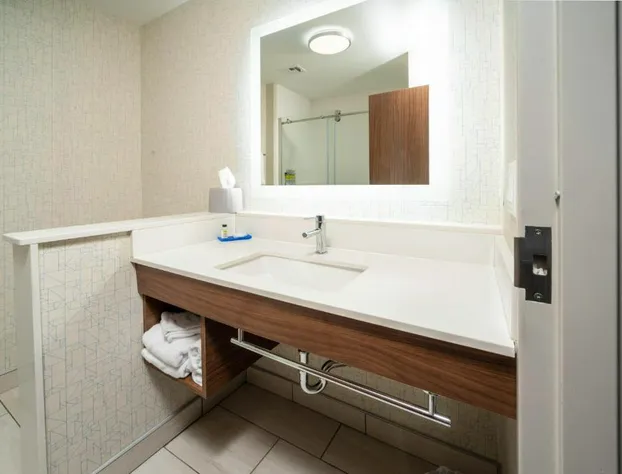 Holiday Inn Express & Suites Rock Hill by IHG hotel detail image 4