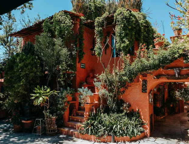 Mansion del Bosque hotel detail image 4