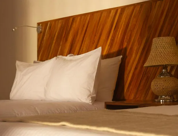 NaNa Vida Hotel Morelia hotel detail image 1