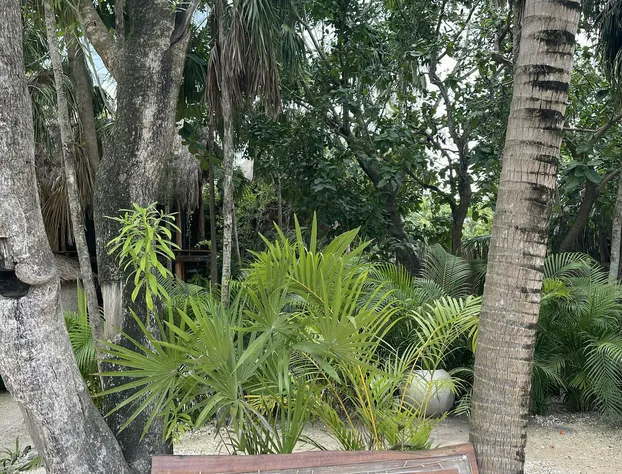 Origen Tulum hotel detail image 3