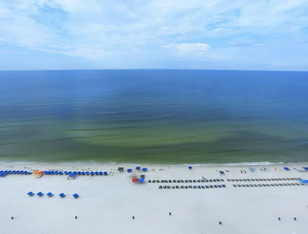 Twin Palms 2005 - 1137265 hotel detail image 2