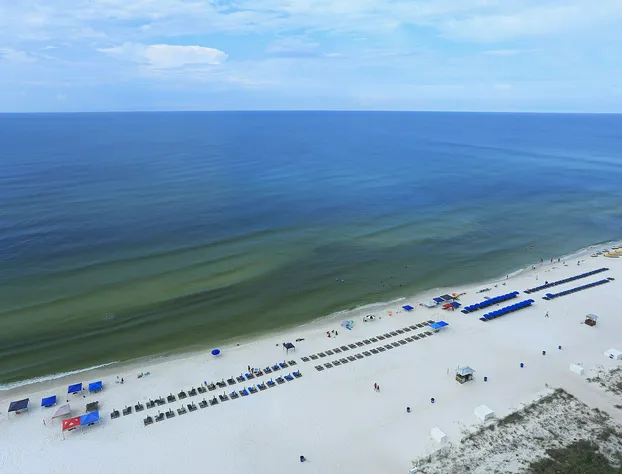 Twin Palms 2005 - 1137265 hotel detail image 4