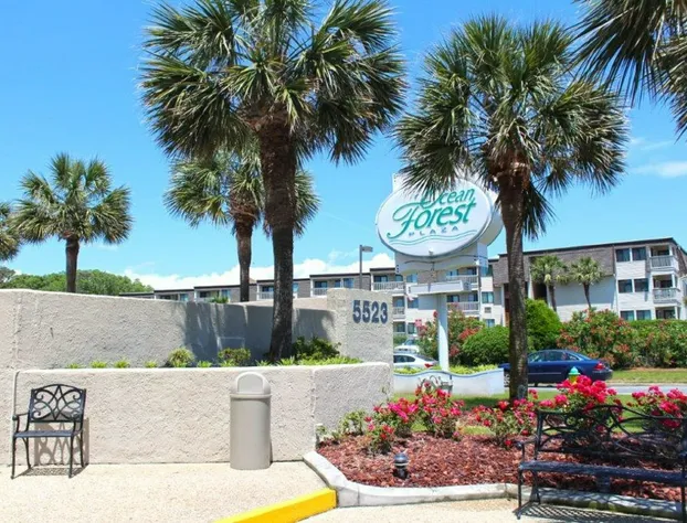Ocean Forest Plaza hotel detail image 3