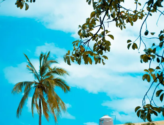 Hotelito Mar Azul hotel detail image 4