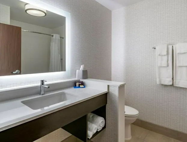 Holiday Inn Express & Suites Lancaster - Mount Joy by IHG hotel detail image 3