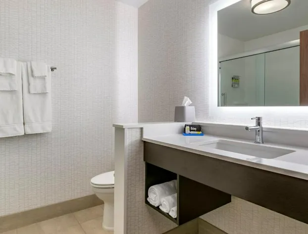 Holiday Inn Express & Suites Lancaster - Mount Joy by IHG hotel detail image 4