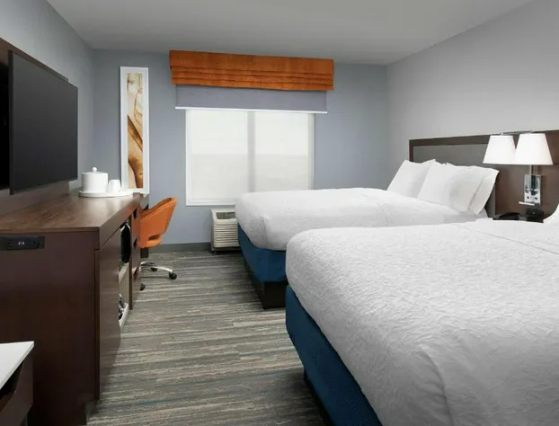Hampton Inn & Suites Rapid City Rushmore hotel detail image 1