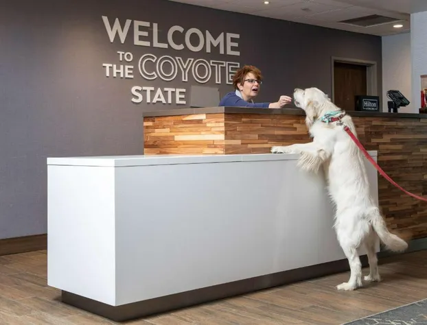 Hampton Inn & Suites Rapid City Rushmore hotel detail image 3