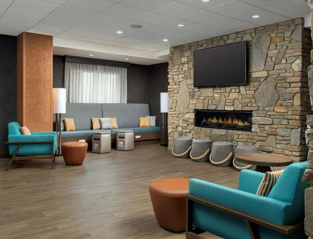 Hampton Inn & Suites Rapid City Rushmore hotel detail image 4