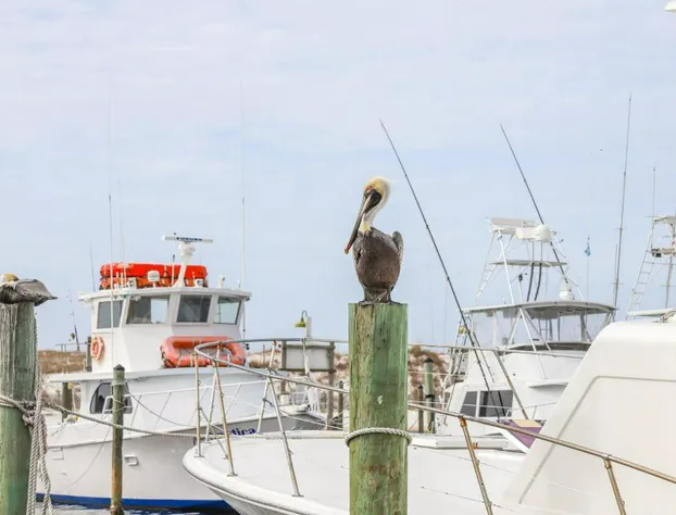 Cabana Club 208 hotel detail image 4