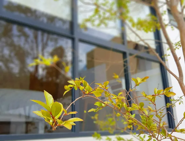 Blue Pepper Premium Rooms hotel detail image 1